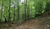 Trail Walking Waldbillig - Mullerthal randonnée magnifique - Photo 12