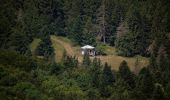 Tocht Stappen Marignac-en-Diois - Marignac - But de l'Aiglette - Col de Vassieux - Photo 4