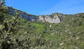 Trail Walking Nans-les-Pins - De Nans les pins vers les sources de l'Huveaune - Photo 13