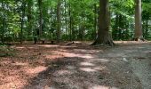 Tour Wandern Zottegem - WSV  - Photo 5