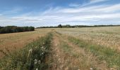 Percorso Marcia Chissay-en-Touraine - Chissay-en-Touraine - Zig zag Beaune les Durdents - 18.2km 330m 3h50 - 2024 08 14 - Photo 8