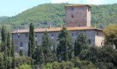 Percorso A piedi Greve in Chianti - Anello di Cintoia - Photo 6