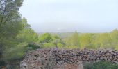 Percorso Marcia Leucate - leucate - la franqui (via le plateau) - phare (via la falaise) - leucate (via le plateau) - Photo 5