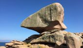 Randonnée Marche Perros-Guirec - Bretagne - Ploumanac’h-Tregastel  par la côte de Granit Rose - Photo 10