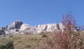 Excursión Senderismo Le Saix - Montagne d'Aujour - Photo 4