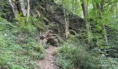 Trail Walking Durbuy - Bomal-Comblain au Pont/Rivage 33 km - Photo 12