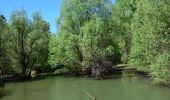 Tocht Stappen Montauroux - Esterets du Lac - Observatoire - Lac de St Cassien - Photo 3