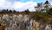 Trail Walking Viroinval - Promenade vers le Fondry des chiens  - Photo 7