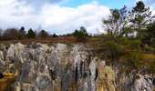 Tour Wandern Viroinval - Promenade vers le Fondry des chiens  - Photo 7