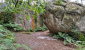 Tocht Stappen Fontainebleau - Fontainebleau sentier Denecourt 7-8 8-8 - Photo 15