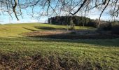 Percorso A piedi Wangen im Allgäu - Wanderweg 11 Wangen im Allgäu - Photo 5