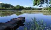 Trail Road bike Alby-sur-Chéran - 13 KM ETANG DE CROSAGNY - Photo 1