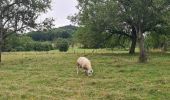 Tour Wandern Jezainville - Blenod - jezainville - puvenelle - Photo 2