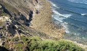 Randonnée Marche Crozon - Cap de la Chèvre  - Photo 5