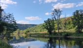 Randonnée Marche Neupré - contreforts de la boucle de l’ourthe - Photo 9