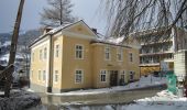 Tour Zu Fuß Bad Hofgastein - Gasteiner Höhenweg - Photo 2