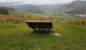 Tocht Stappen Waldkirch - Waldkirch - grande boucle des ruines du Schwanzenberg - Photo 12