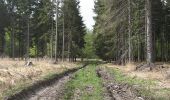 Trail On foot Gutsbezirk Reinhardswald - Staufenberg-Runde - Photo 4