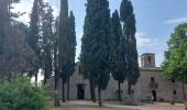 Tour Wandern San Gimignano - CR_Francigena_DC_39_San-Gimignano_Colle-Di-Val-D-Elsa_20230521 - Photo 5