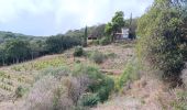 Tour Wandern Collioure - commioure entre pradells et consolation  - Photo 15