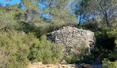 Percorso Marcia Cessenon-sur-Orb - Cazedarnes - Photo 4
