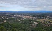 Tour Wandern Tourves - Chapelle Saint Probace-Caramy - Photo 13