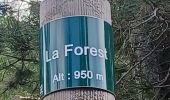 Trail Walking Saint-Geniez - S GENIEZ . ABROS . REFUGE D ART . LA FOREST O L S M - Photo 7