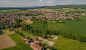 Excursión A pie Litzendorf - Wanderweg Hügelgräber - Sängerehrenmal - Photo 4