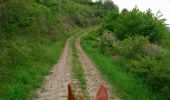 Excursión Paseo ecuestre Clémensat - Clémensat, Lavelle et le tour du puy Lavelle  - Photo 1