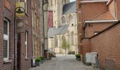 Tour Elektrofahrrad Oudenaarde - audenarde parc Lieds - Photo 2