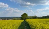 Tocht Stappen Bertem - Bertem 24/04/2022  - Photo 2