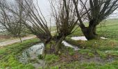 Randonnée Marche Gerpinnes - Gougnies par les carrières  - Photo 1