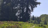 Tour Wandern Crêts-en-Belledonne - LE GRAND ROCHER PAR LE REFUGE DU CRET DU POULET - Photo 11