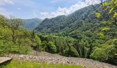 Trail Walking Metzeral - Sentier historique - Mittlach - Fischboedle - Photo 12