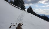 Excursión Bici de montaña Allèves - semnoz - Photo 1