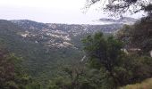 Excursión Senderismo Cogolin - les hauts de Cavalaire - Photo 1