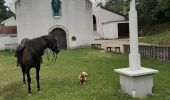 Trail Horseback riding Pont-Salomon - ecurie de l'aurore - Photo 6