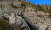 Randonnée Marche Saint-Martin-Vésubie - Lac des Adus - Photo 6