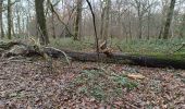 Tocht Stappen Vauchassis - Balade en forêt d'Hothe - Photo 6