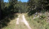 Percorso Marcia Autrans-Méaudre en Vercors - Autrans - Gève - Bec de l'Orient - La Buffe - Photo 10