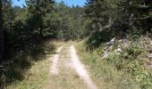 Trail Walking Autrans-Méaudre en Vercors - Autrans - Gève - Bec de l'Orient - La Buffe - Photo 10