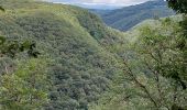 Trail Walking Mauriac - le trou du loup - Photo 2