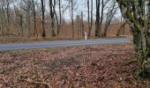 Trail Walking Vouthon-Haut - repérage bois de Greux  - Photo 8