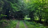 Trail Walking Habay - marche adeps ruelles  - Photo 5