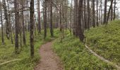 Trail Walking Unknown - Parc naturel de Kristiansand  - Photo 9