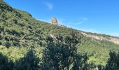 Excursión Senderismo Buoux - PF-Buoux - Sivergues - Le Vallon de l'Aigue Brun - Reco - 01.07.2021 - Photo 3