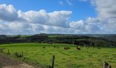 Tour Wandern Stoumont - A la découverte de Stoumont  - Photo 9