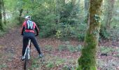 Tocht Mountainbike Courtivron - 10_10_20 - Photo 7