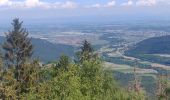Tour Wandern Wanzel - 2020-05-21 Marche La Vancelle Boucle - Photo 3
