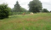 Tocht Stappen Saint-Pierre-des-Fleurs - 20210626-St Pierre des Fleurs - Photo 12